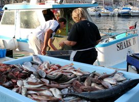 Unloading the catch Marseille1.JPG